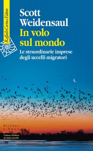 In volo sul mondo - Le straordinarie imprese degli uccelli migratori