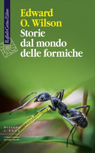 Storie dal mondo delle formiche