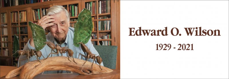 La scomparsa di Edward O. Wilson