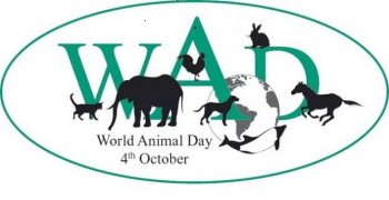 4 Ottobre, San Francesco: Giornata degli animali